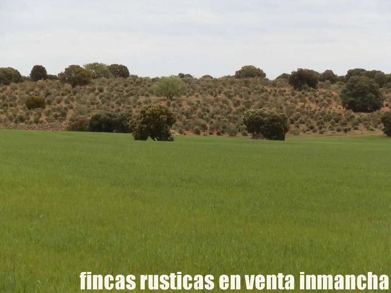 Terreno rustico in vendita a Ruidera, imagen 13