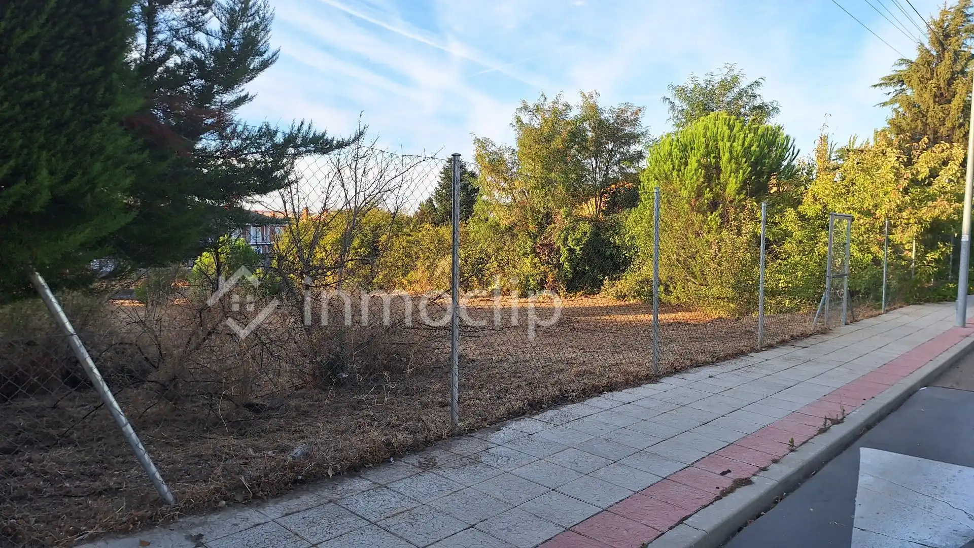 Terrenos y solares en venta en CALLE MIRLO, imagen 11