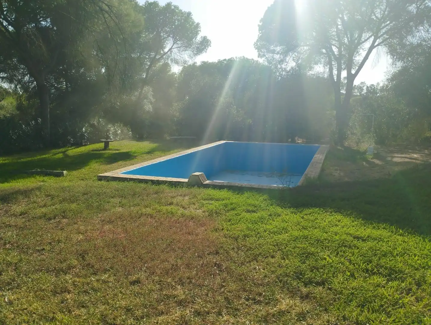 Terreni e lotti in vendita a La Puebla del Río, imagen 20