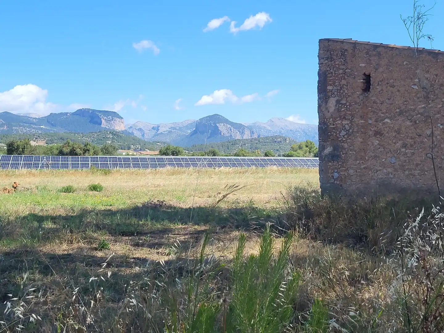 Terrain rustique à vendre à Polígono 2 Parcela 1, imagen 29