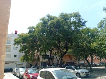 Locale commerciale in affitto a SALVADOR ESPADA LEAL