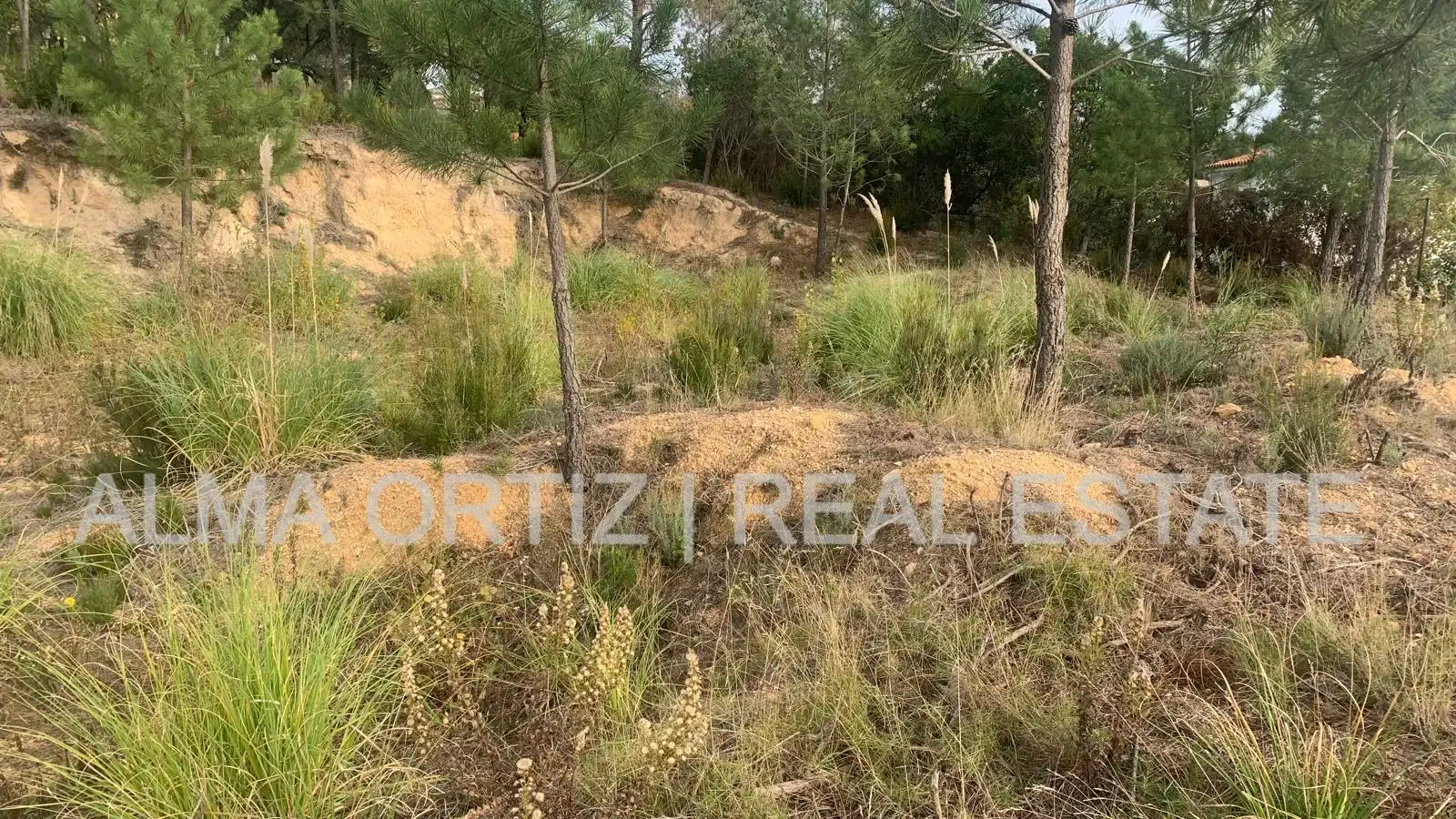Terreny residencial en venda a Calle Sauce 25, imagen 10