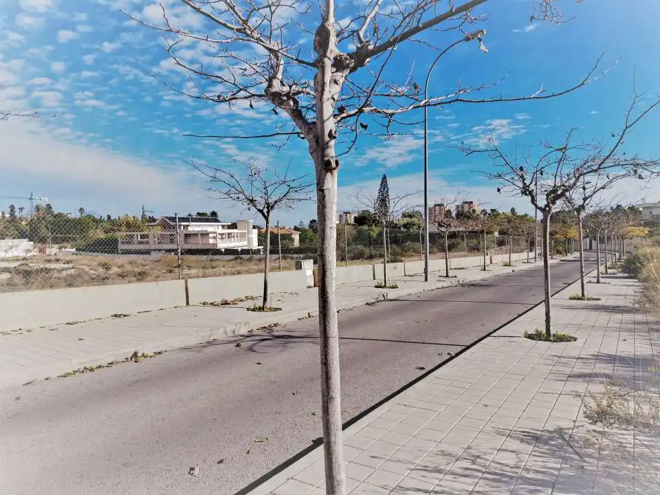 Wohnbaugrundstück zum Verkauf in Calle del Eucalipto, imagen 3
