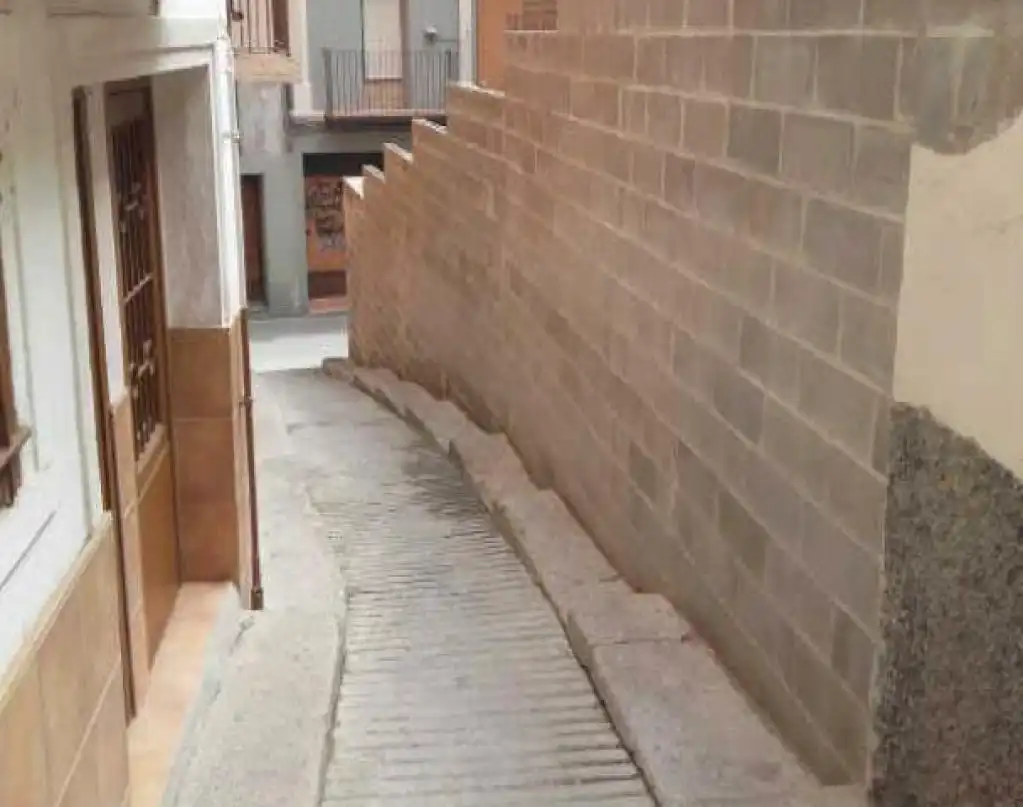 Terreno rústico en venta en PINTOR F. BORRAS, imagen 2