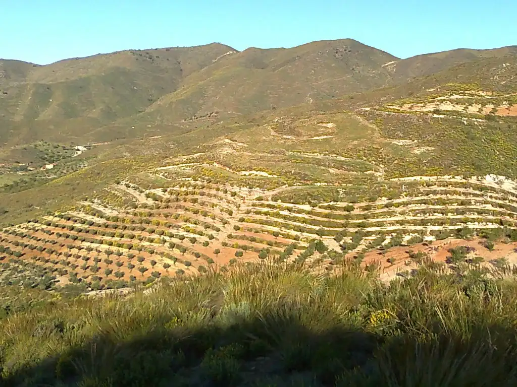 Casa o xalet en venda a del Hinojo a los Jerales, Lubrín