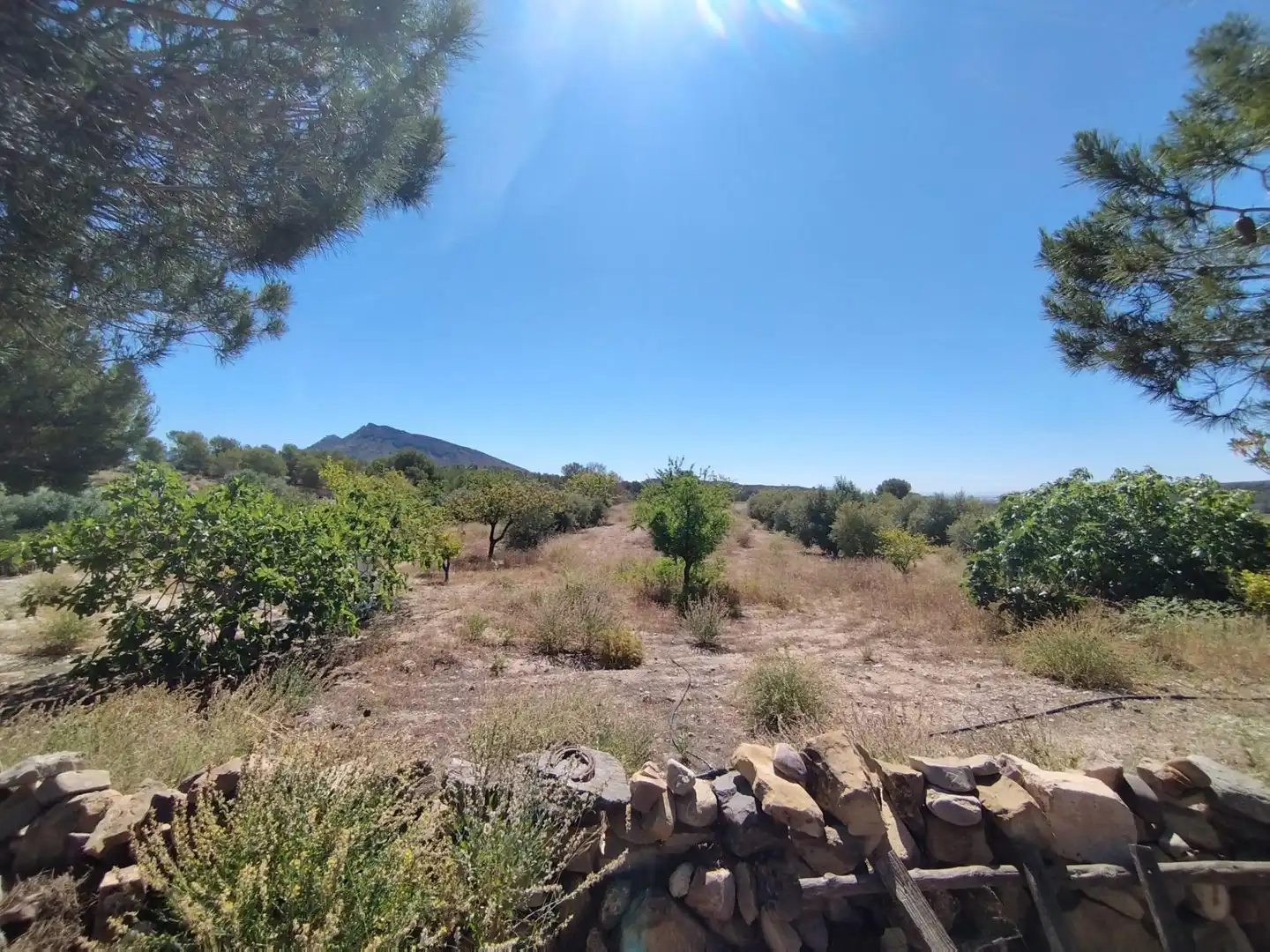 Casa o chalet en venta en Murcia con Trastero y Amueblado