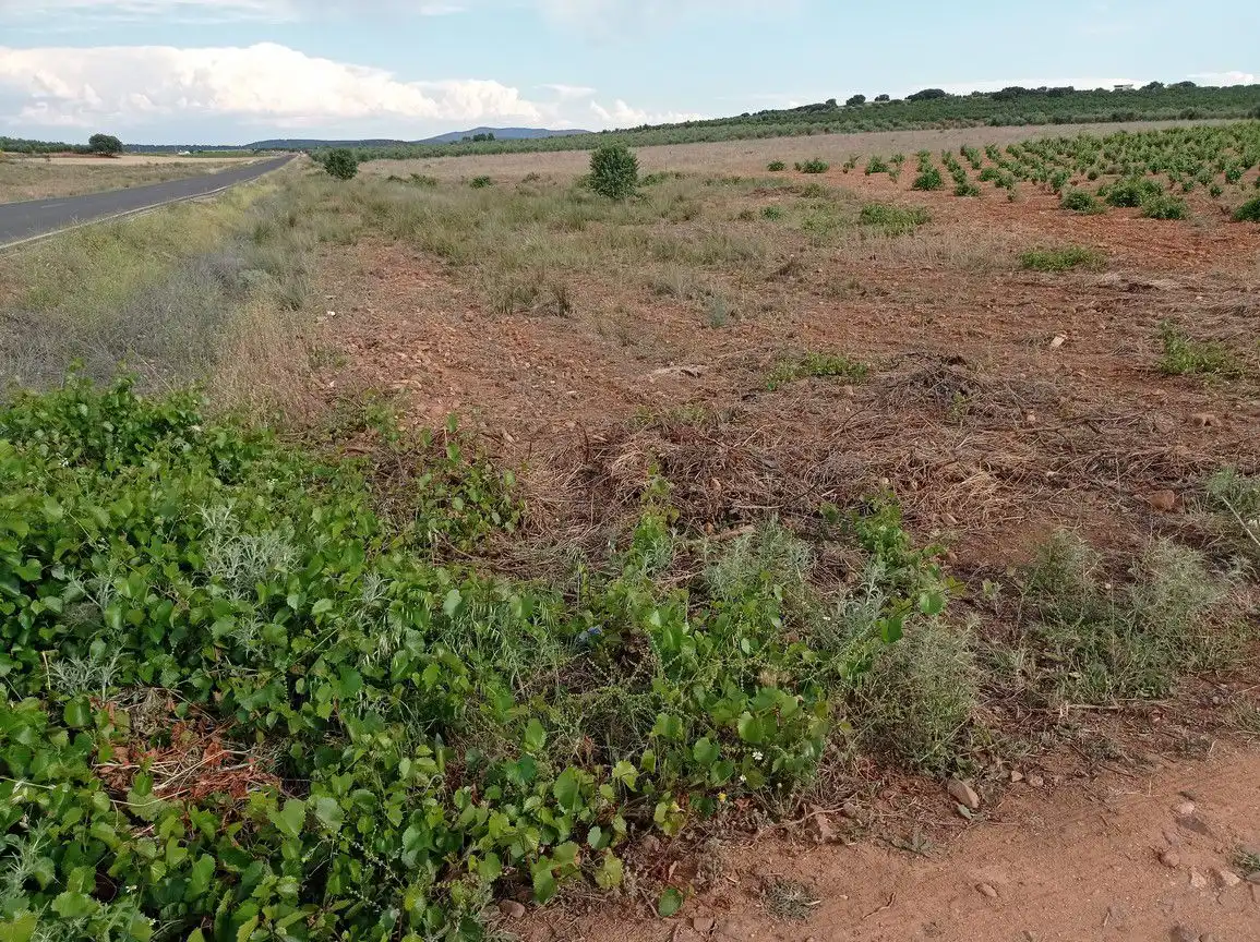 Finca rústica en venda en Cózar