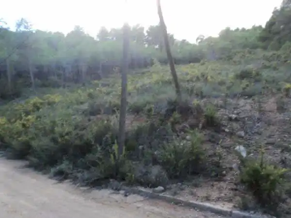 Terreno rustico in vendita a C/ Josep Plá, imagen 9
