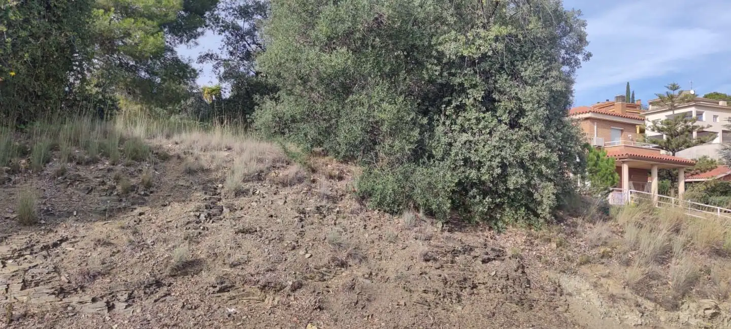 Lands and plots for sale in DE LA CAMELIA 4, imagen 5