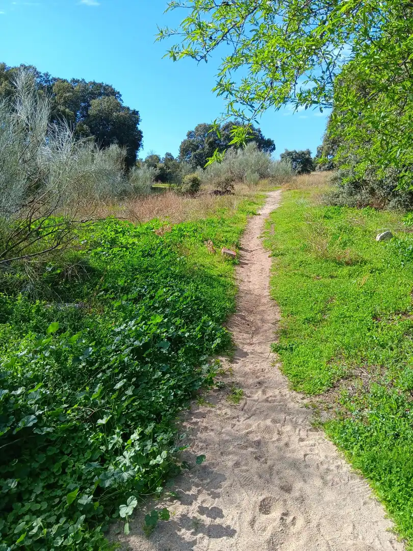 Terreno residencial en venta en Calle de Madrid 20, imagen 10