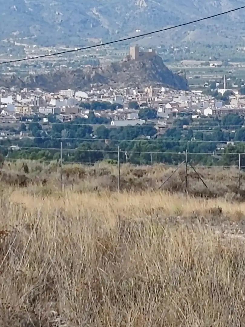 Terreno rustico in vendita a San Crispín - Huerta Nueva-Estación, imagen 11
