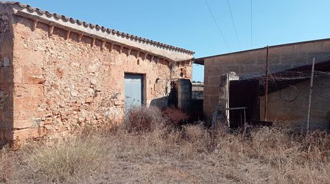 FINCA RÚSTICA CON LICENCIA EN TRÁMITE, immagine 5