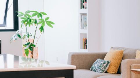 Photo 5 of Flat to rent in El Raval - Portes Encarnades, Elche / Elx