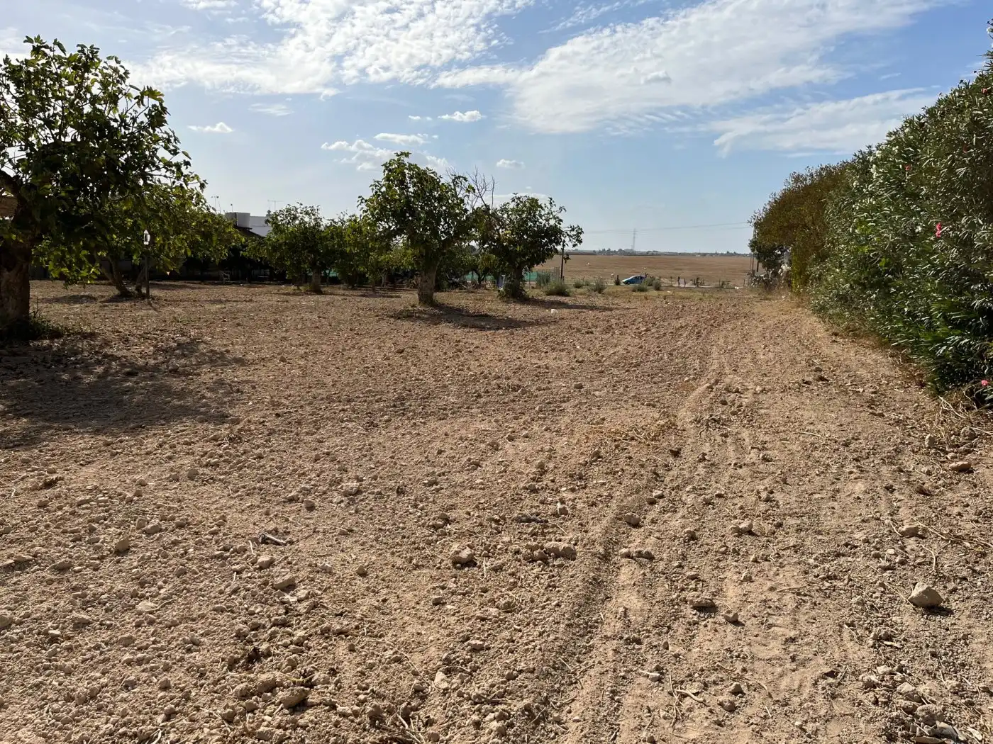 Rustikales Grundstück zum Verkauf in Palomares del Río, imagen 5