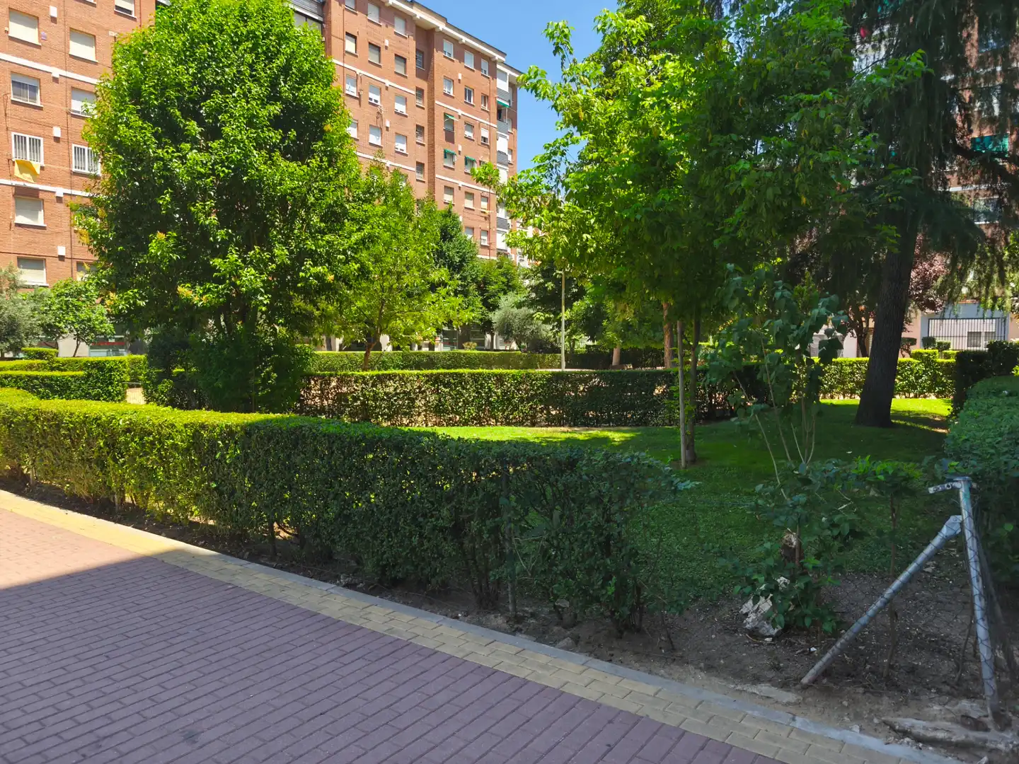 Jardí de Local de lloguer en Madrid amb Aire condicionat