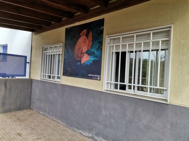 Pis de lloguer a Calle Santa Bárbara 22
