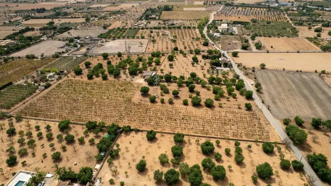 Land for sale in Consell