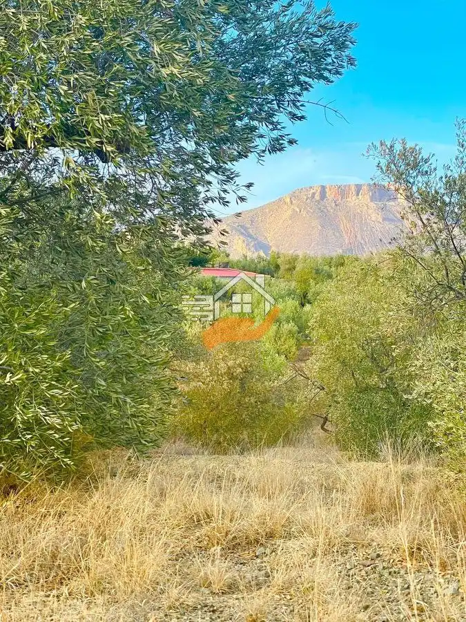 Terrenys i solars en venda a Vélez-Rubio, imagen 9
