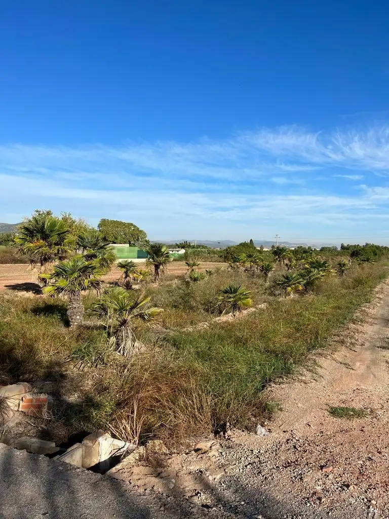 Terreno rústico en venta en Camino ABRES, imagen 9