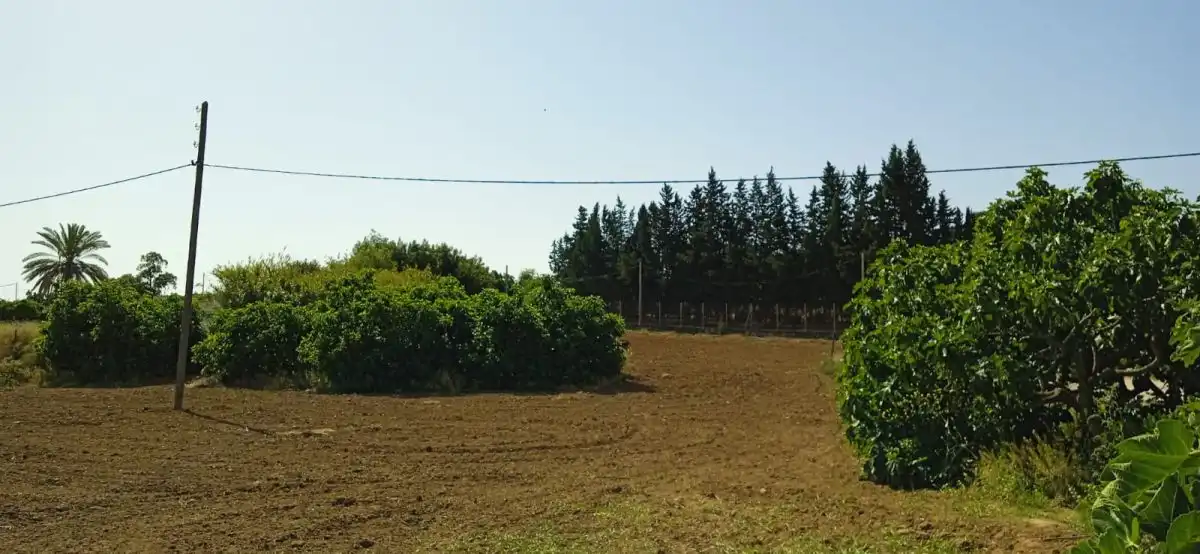 Country homes for sale in Jerez de la Frontera