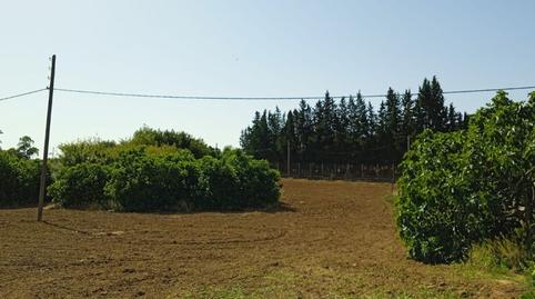 Foto 2 de Finca rústica en venda a Parque Atlántico - Ronda este, Jerez de la Frontera