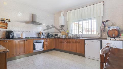 Photo 3 of Country house for sale in La Jara, Cádiz