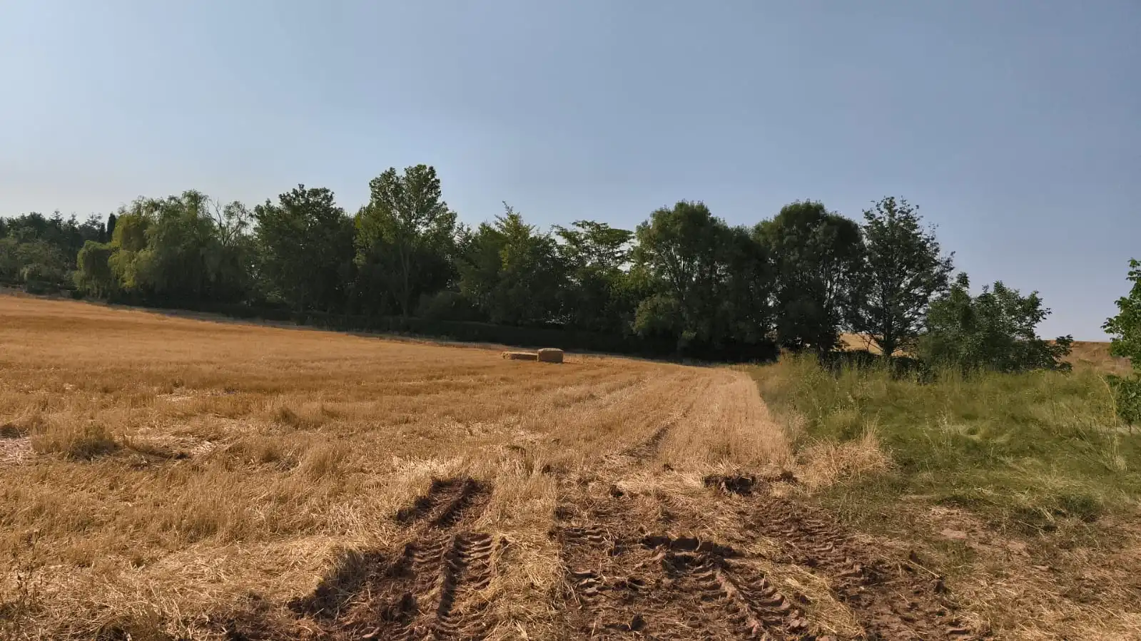 Grundstücke zum Verkauf in Hormilla