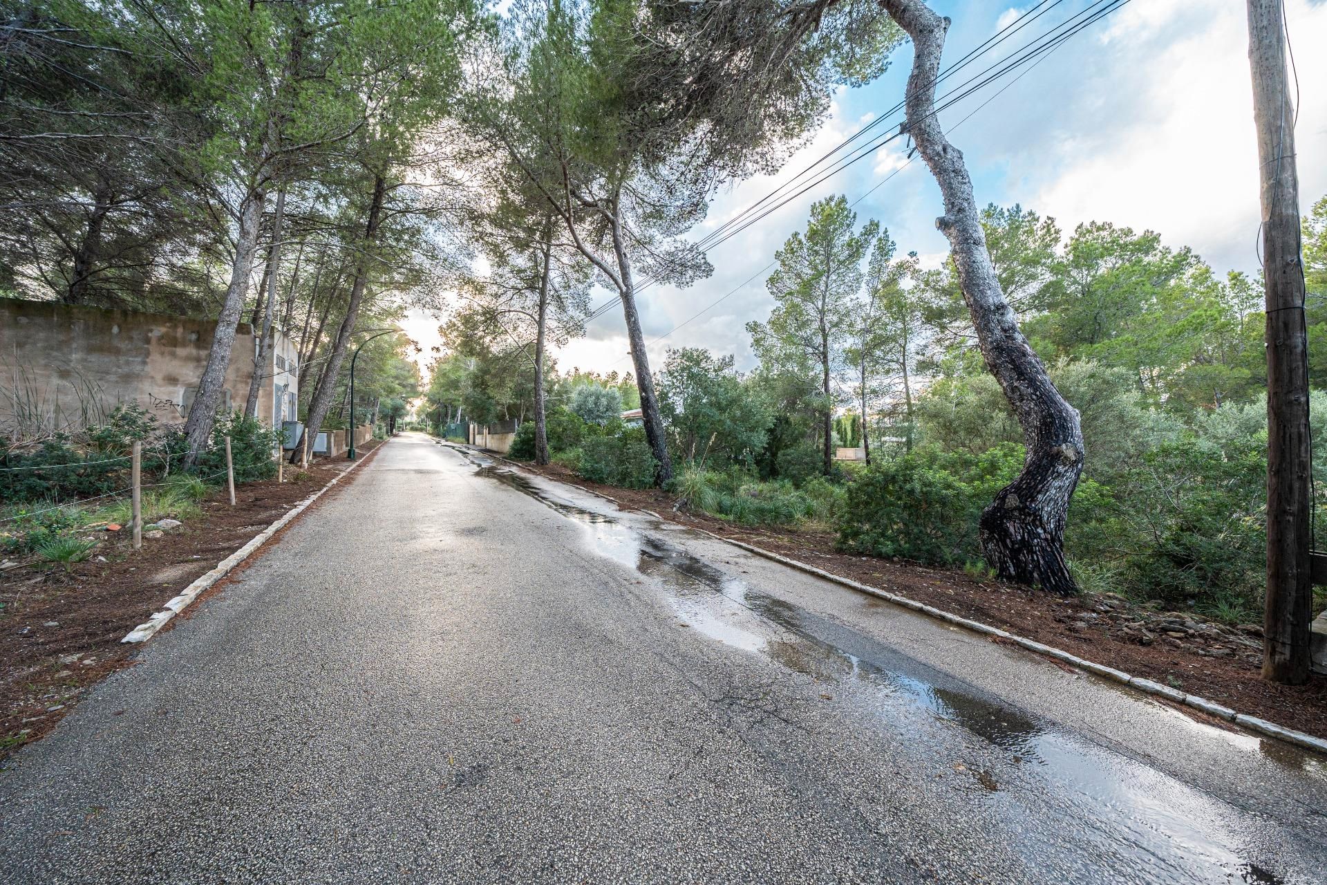 Exterior view of Land for sale in Artà