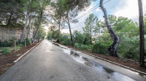 Solar Colonia de Sant Pere con Entorno de Interés y Oportunidad de Construcción y Venta a Medio Plazo