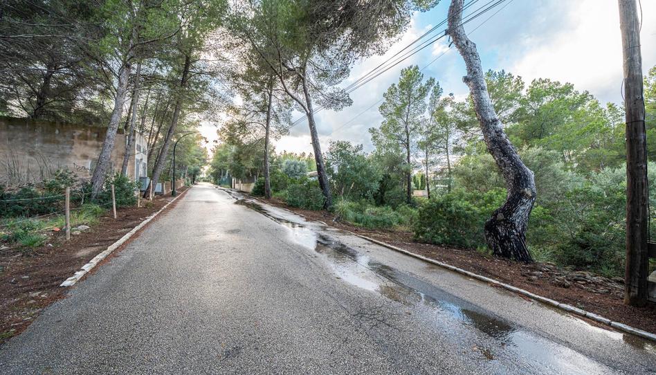 Photo 1 of Land for sale in Colònia de Sant Pere, Illes Balears