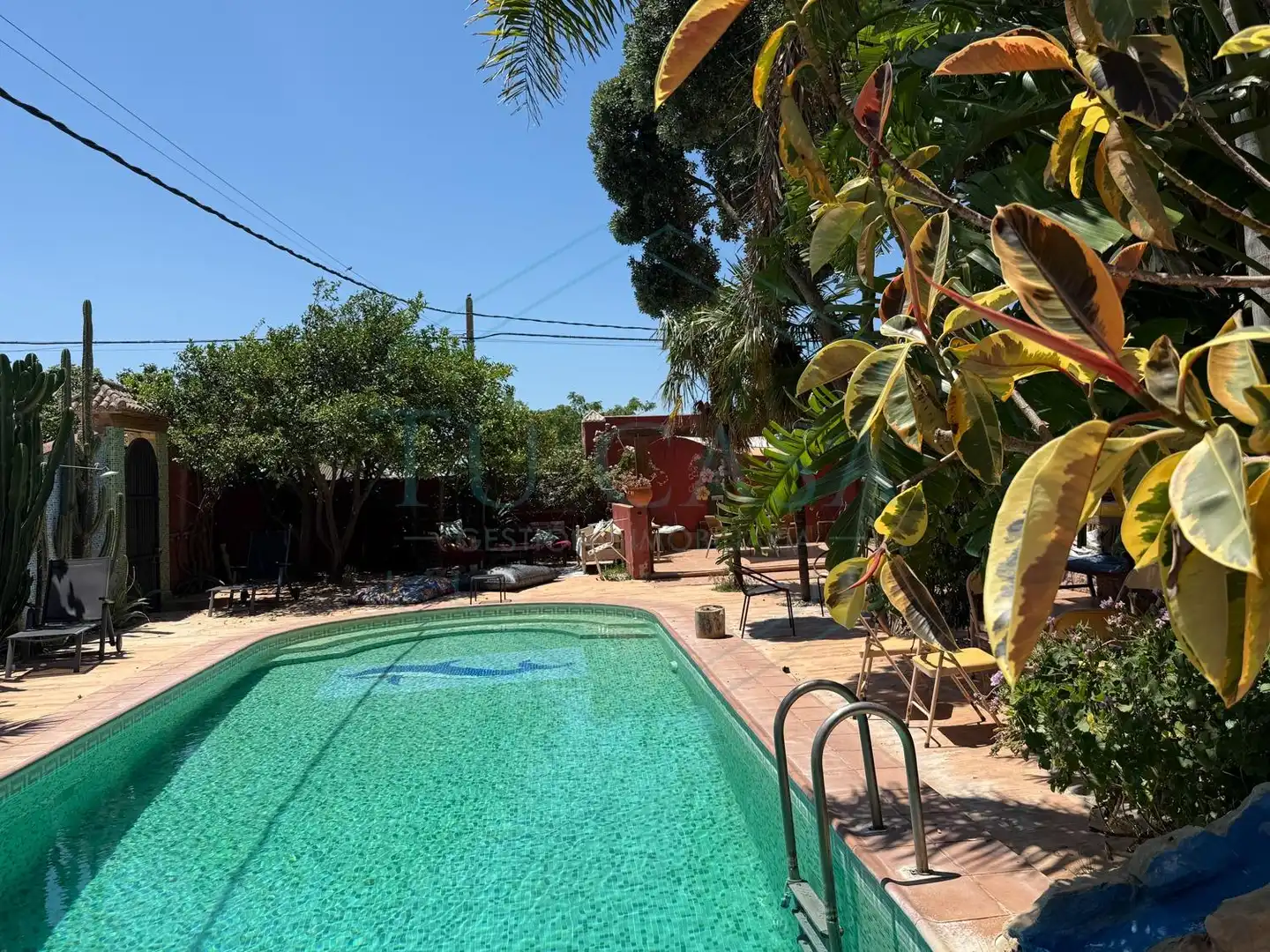 Piscina de Casa o xalet en venda en Chiclana de la Frontera amb Jardí privat, Terrassa i Traster