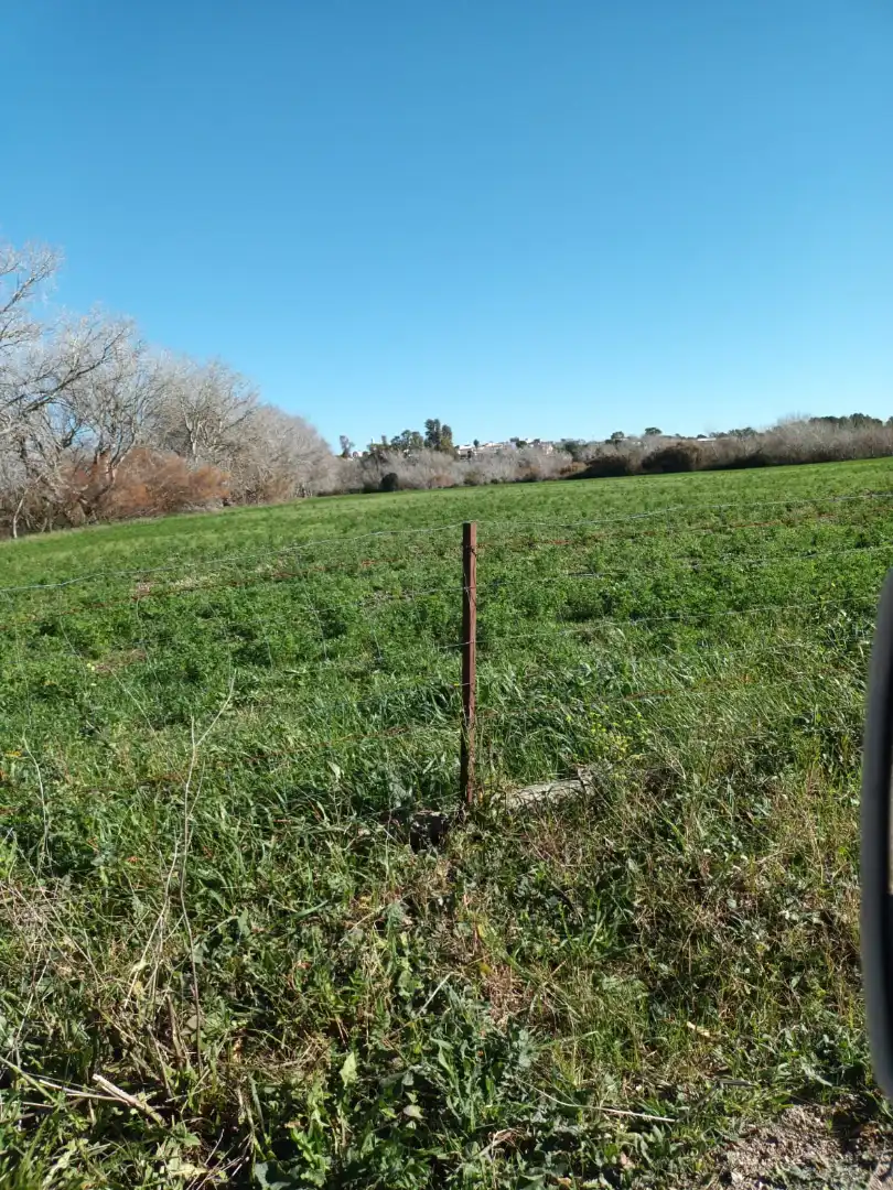 Rural land for sale in Calle Puerto de Santa María