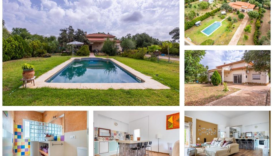 Photo 1 of House or chalet for sale in Sanlúcar la Mayor, Sevilla