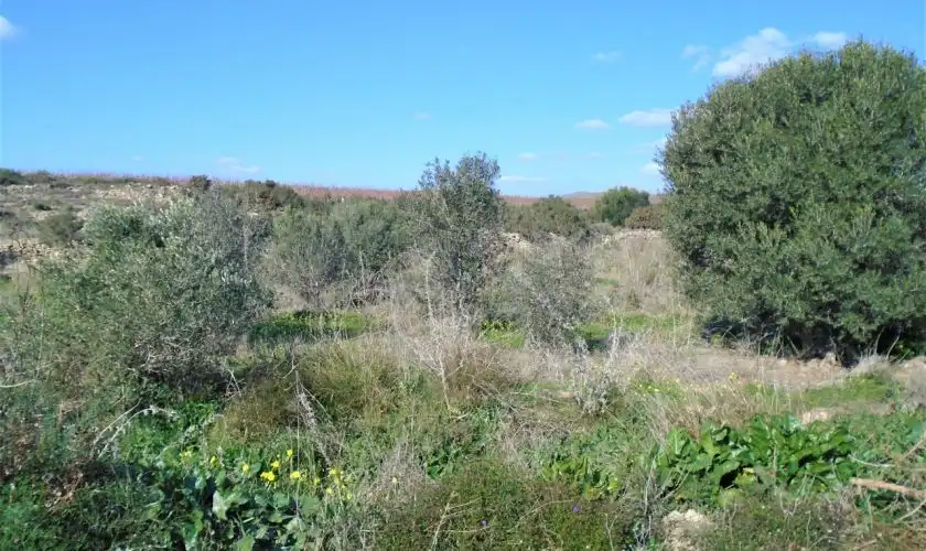 Casa o xalet en venda en Níjar amb Jardí privat, Terrassa i Moblat