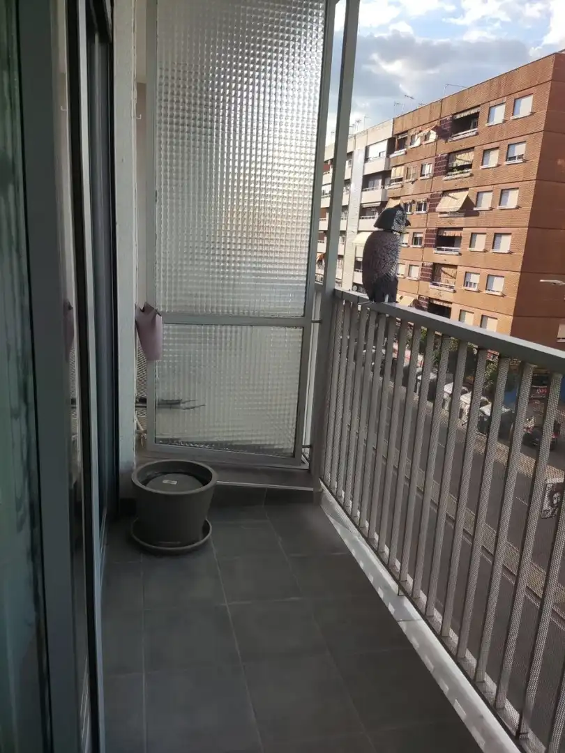 Flat for rent in Ciudad Jardín - Zoco