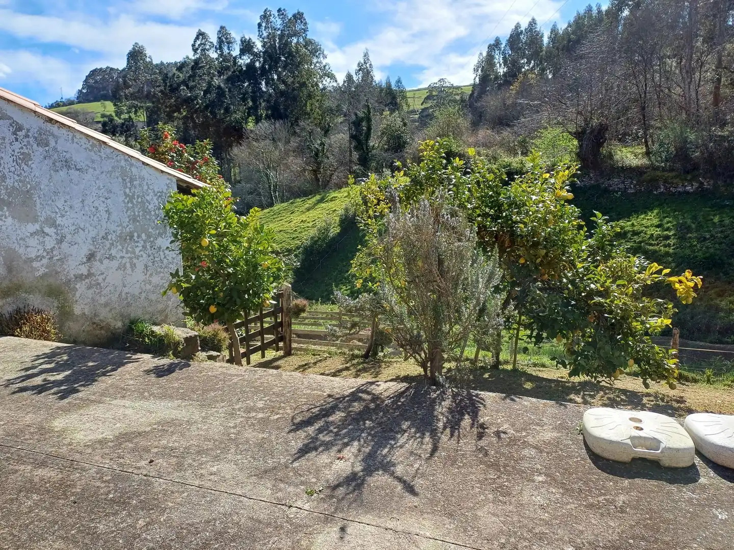 Jardí de Casa o xalet en venda en Illas amb Terrassa, Traster i Piscina