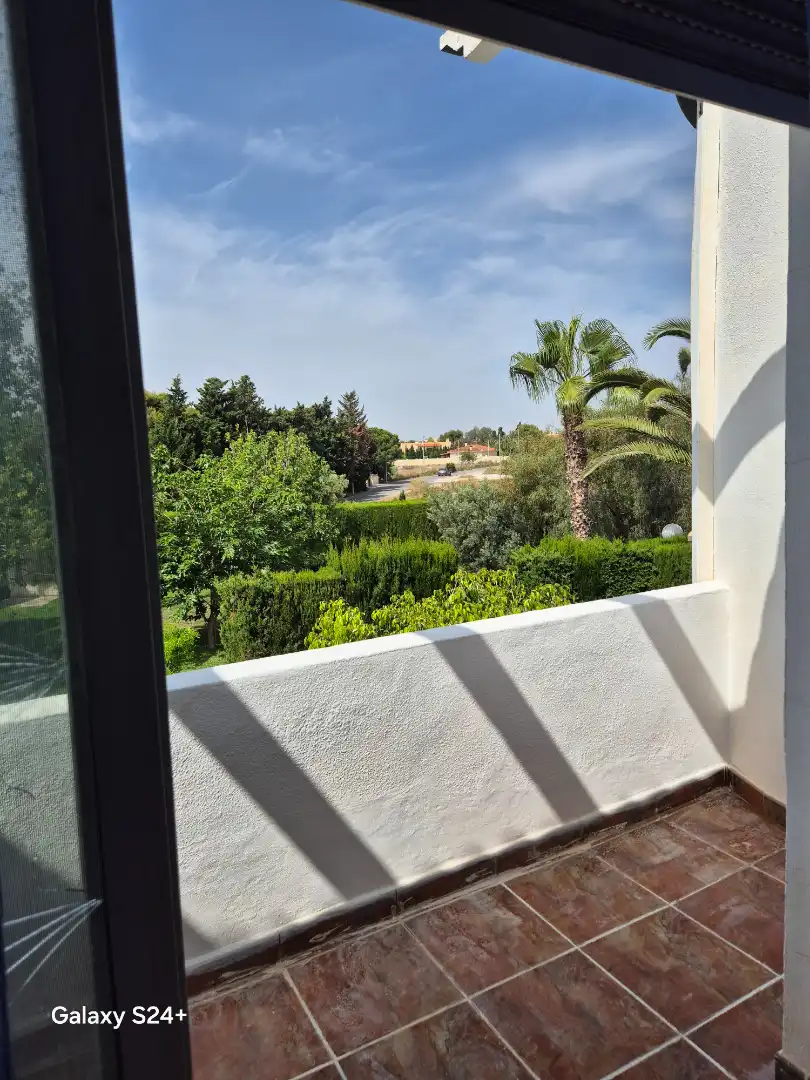 Garden of Detached homes for sale in Elche / Elx  with Air Conditioner, Heating and Terrace