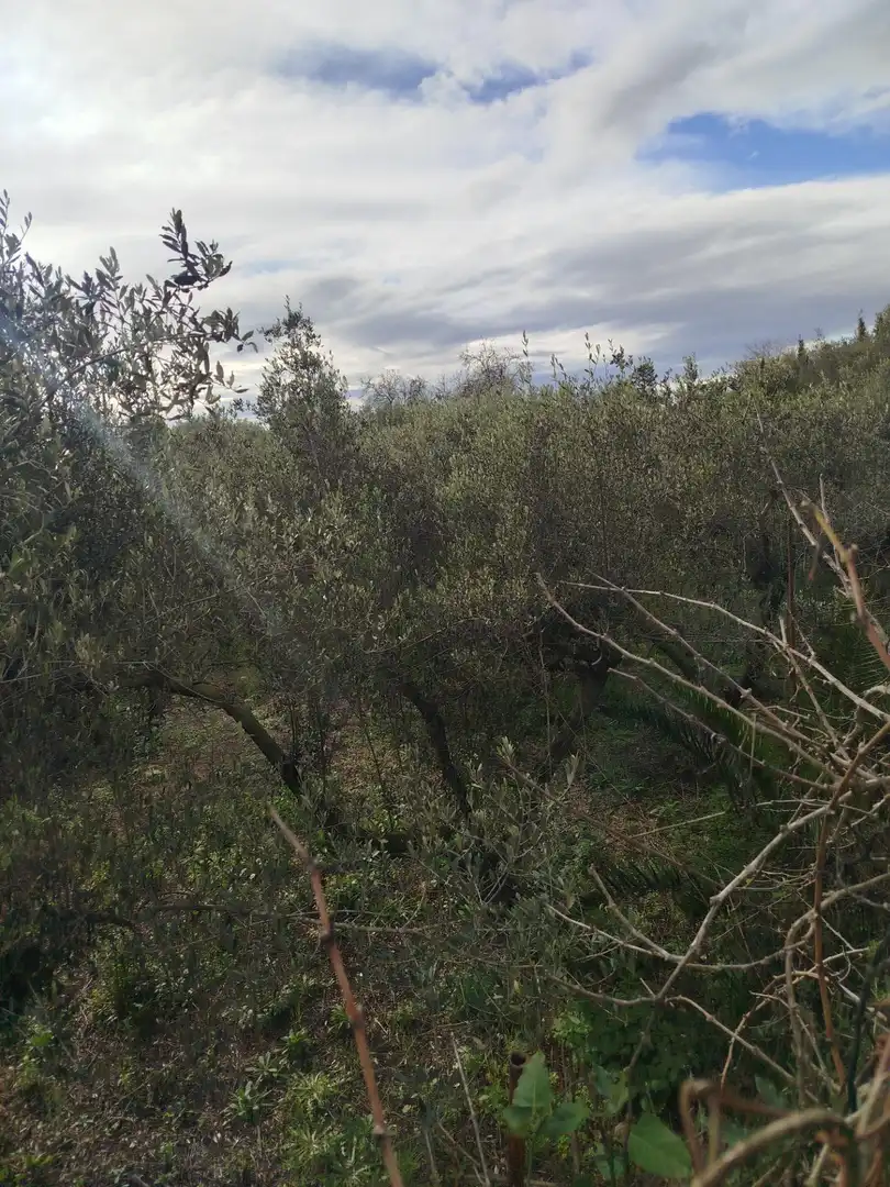 Finca rústica en venta en Reus con Aire acondicionado