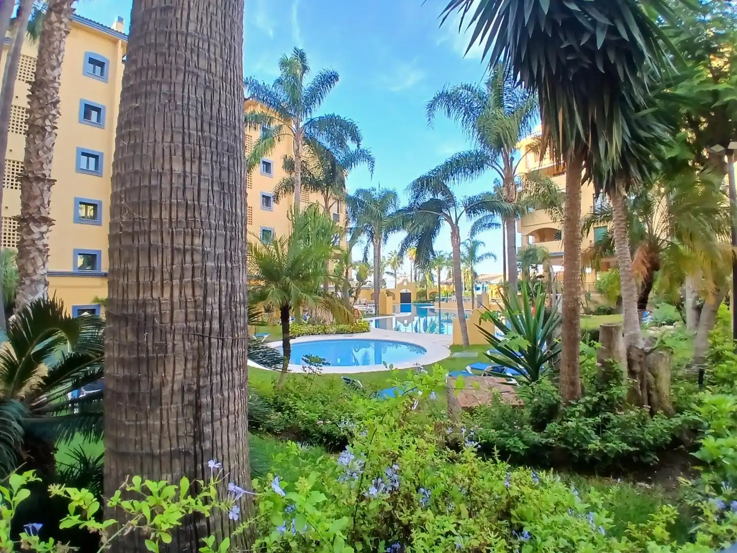 Flat with pool for sale in San Pedro de Alcántara, imagen 10
