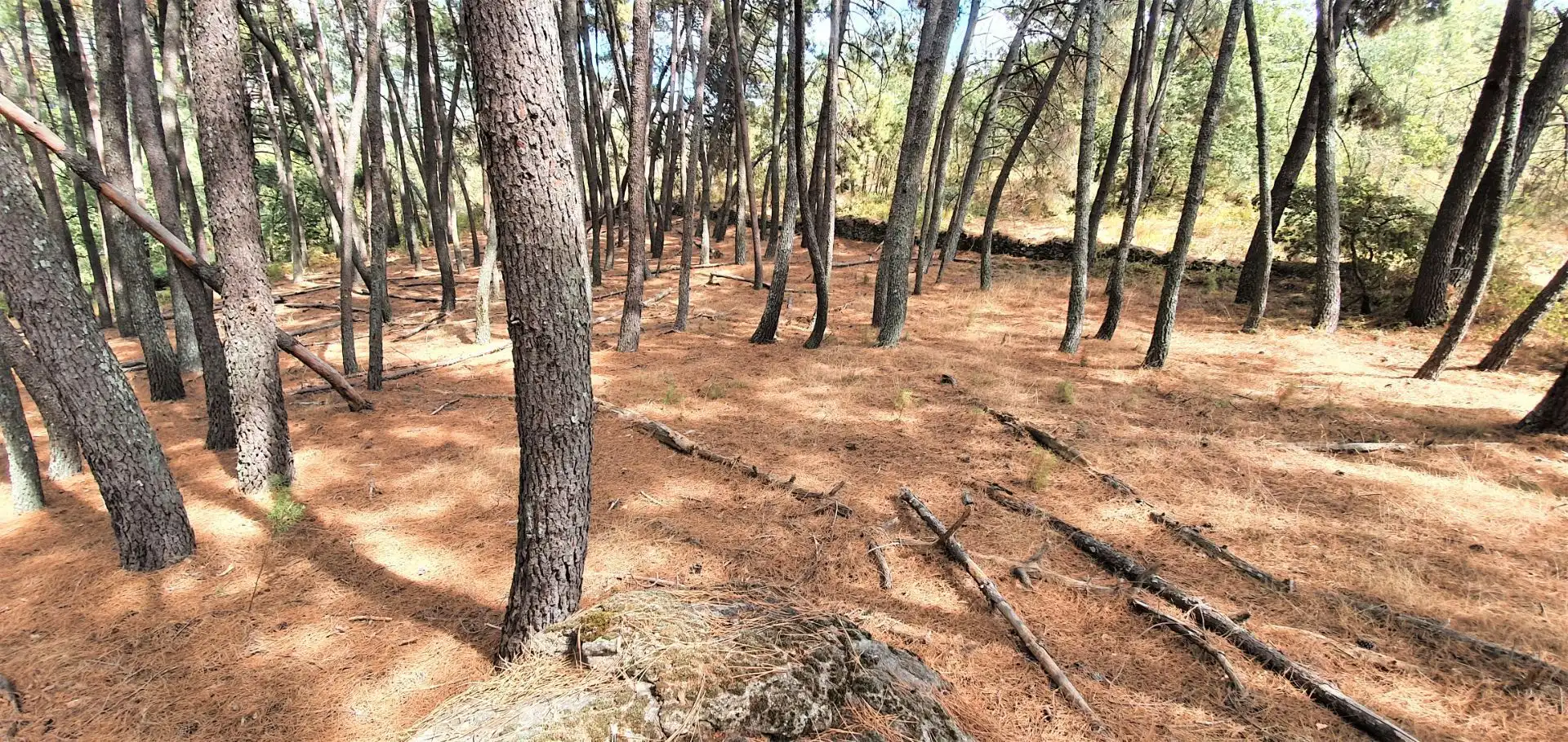 Terreni e lotti in vendita a Jarandilla de la Vera, imagen 21
