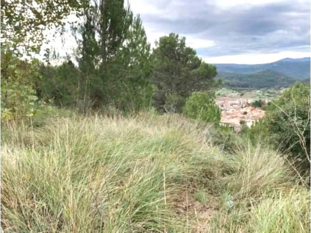 Terrain rustique à vendre à Calle orriols 11, imagen 2