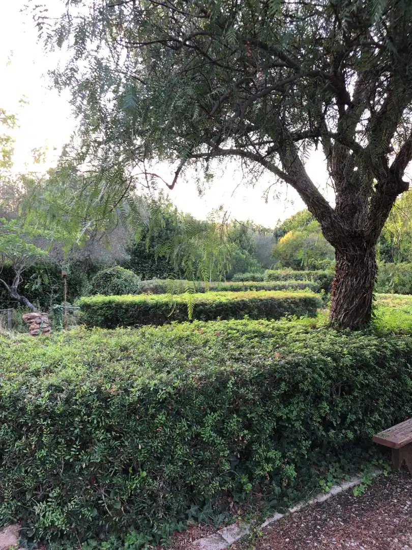 Jardí de Finca rústica en venda en Albalat dels Tarongers, Valencia
