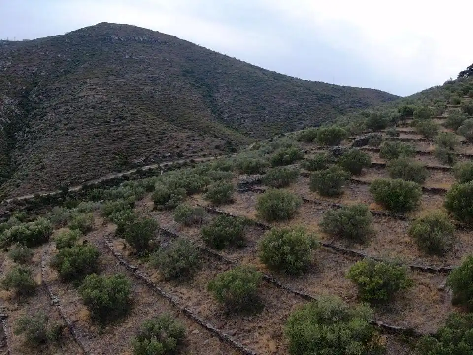 Lands and plots for sale in Territorio Surés, imagen 14