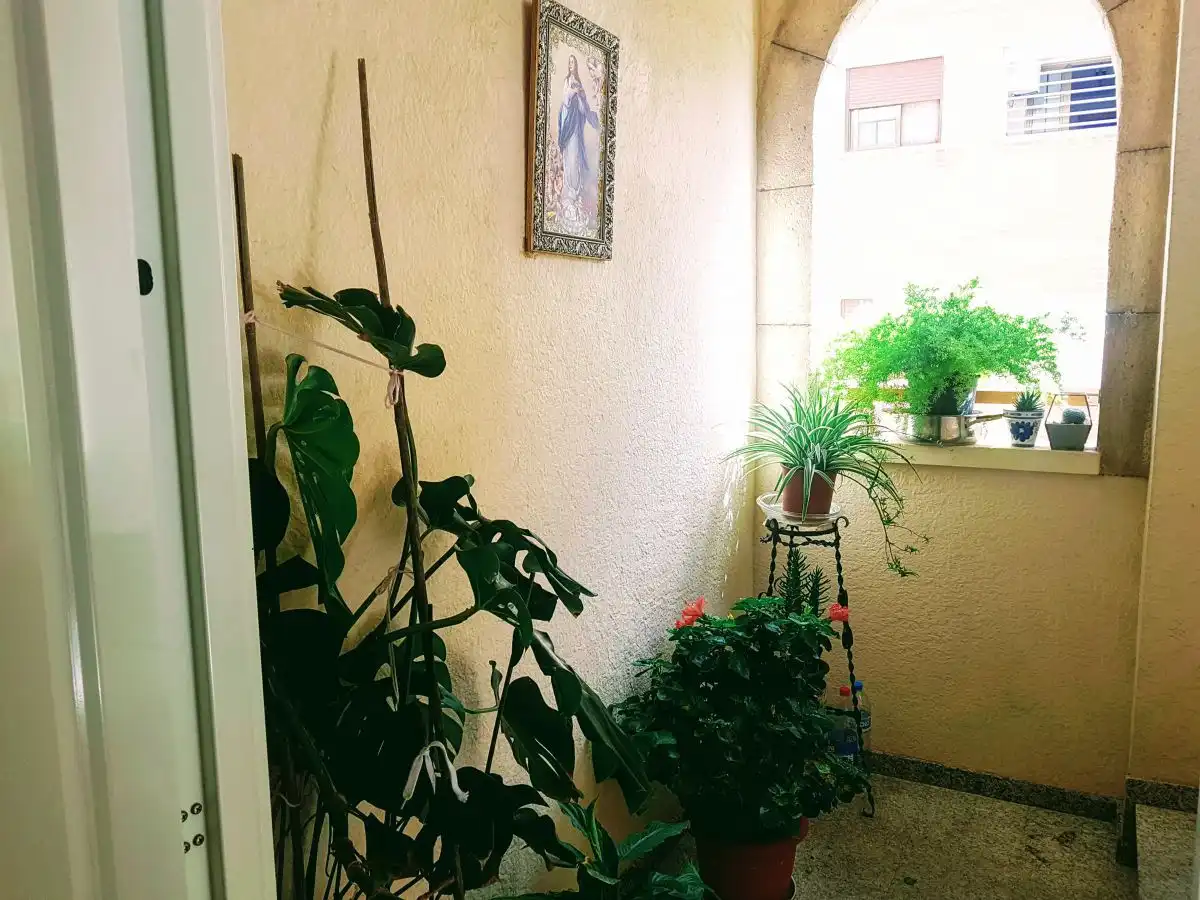 Mini appartamento con piscina in vendita a Formentera del Segura, imagen 16