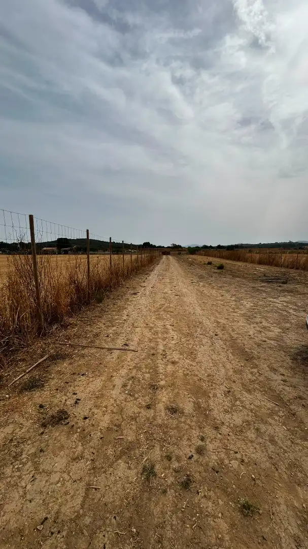 Rural land for sale in Sineu, imagen 7
