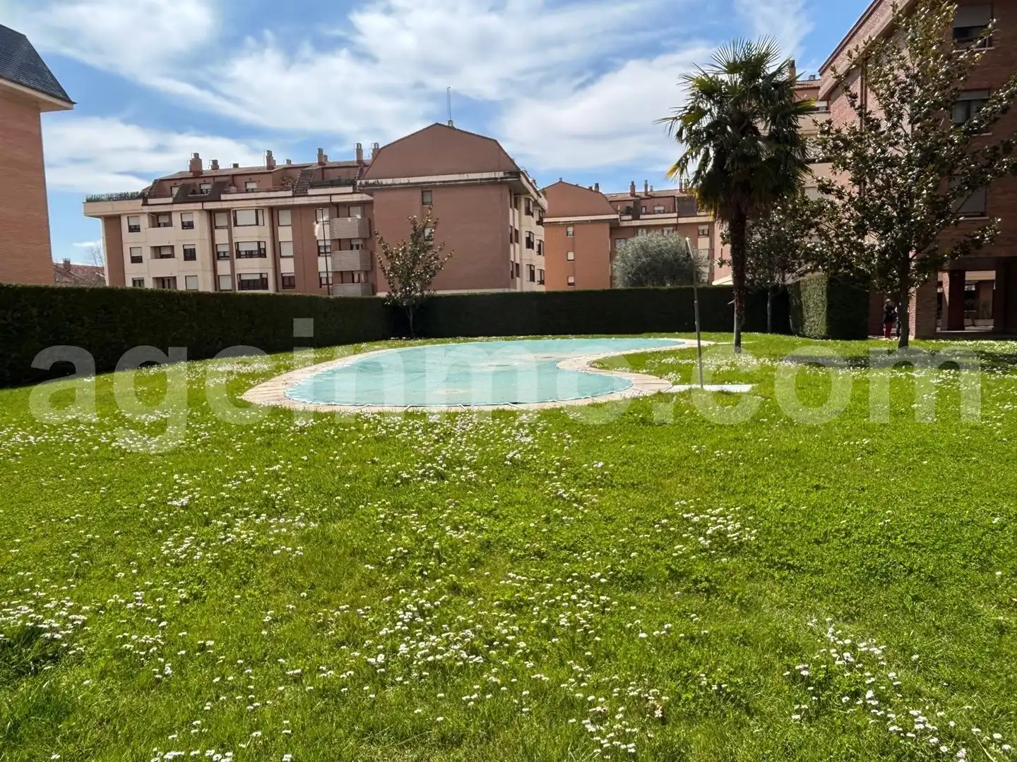 Piso de alquiler en Calle Ribera de Carrión, Parque Alameda - Paula López