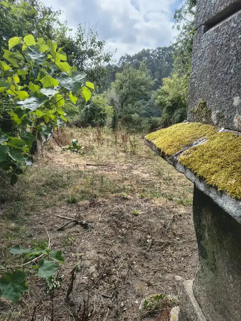 Finca rústica en venda en A Estrada 