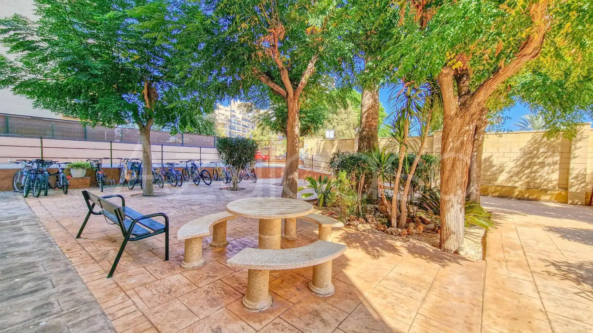 Appartamento con terrazza in affitto a Calle Calle Músico Vicente Spiteri Galiano, imagen 27