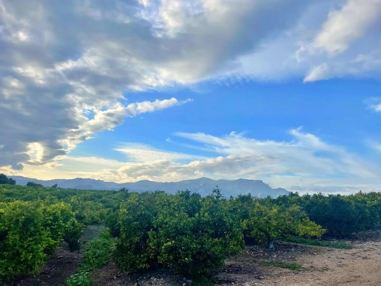 Casa o chalet en venta en Tortosa