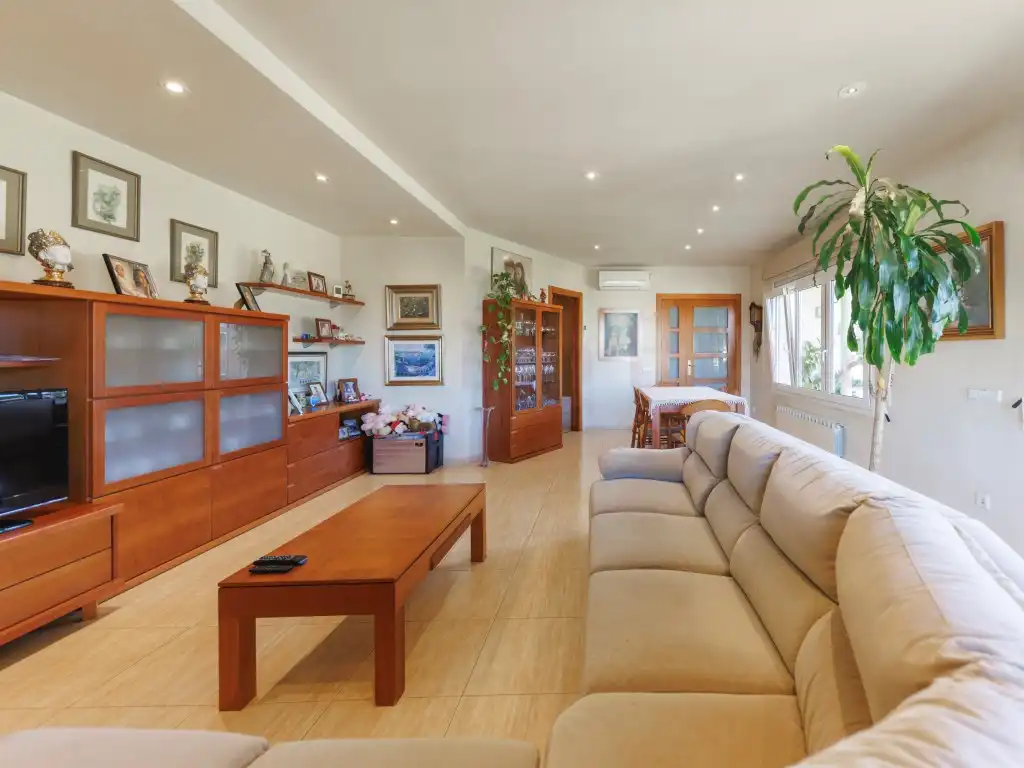 Sala de estar de Casa o chalet en venta en Santa Cristina d'Aro